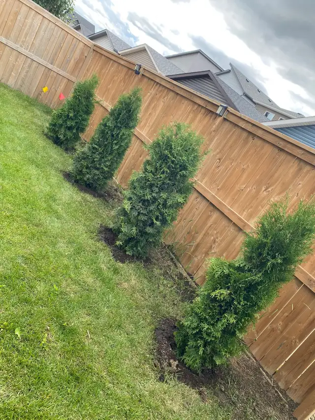 Landscaping sidewalk 543426442817054728