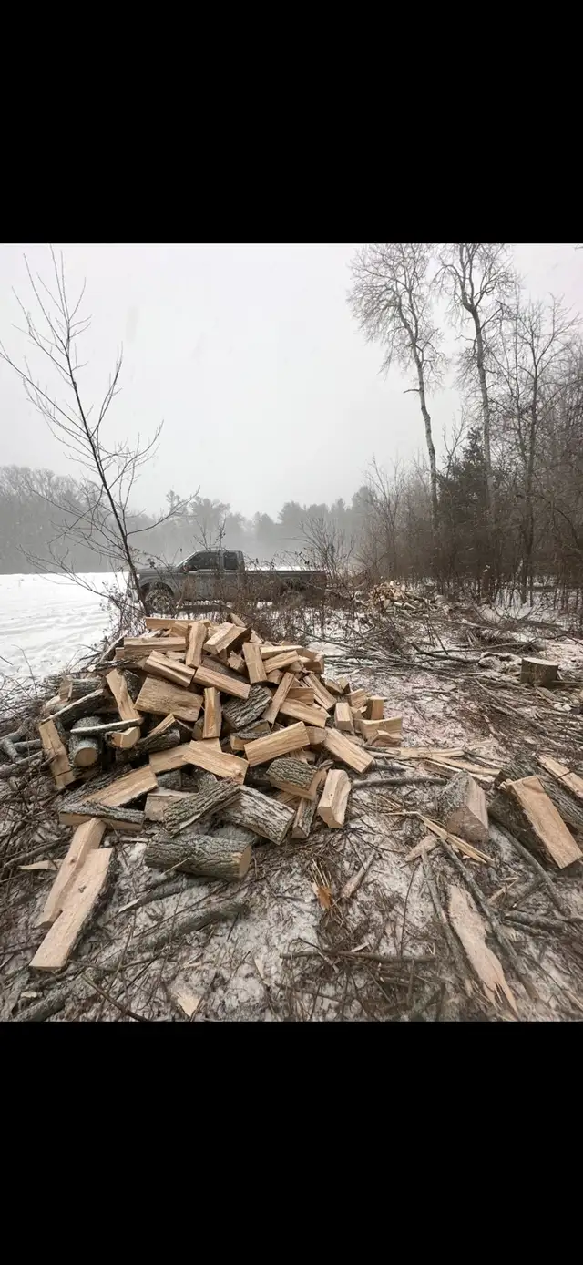 ash firewood $350/bush cord delivered in Fireplace & Firewood in Trenton - Image 2
