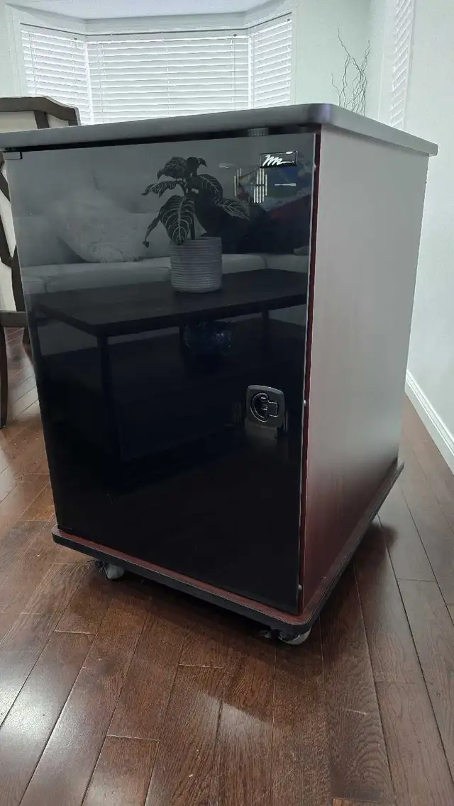 Middle Atlantic Mobile Furniture Rack, MFR 1627GC  in Performance & DJ Equipment in Oakville / Halton Region - Image 3