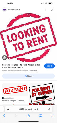 Looking for house to rent