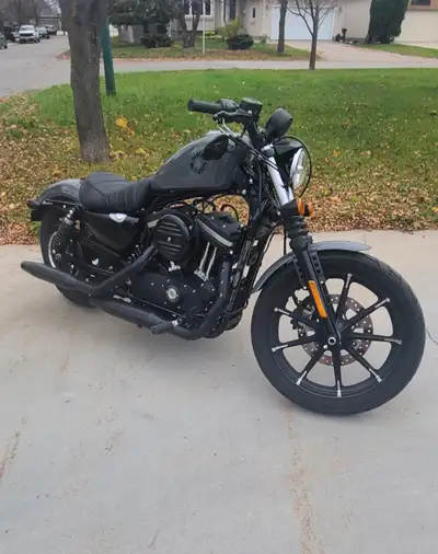 2022 Harley-Davidson Sportster Iron 883 in gunship grey. Only year it can in this color. ABS and sec...