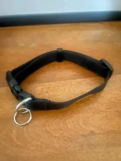 small cat collar - $5, View more