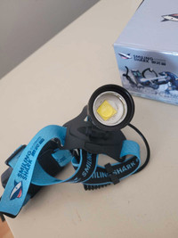 Smiling shark induction xp90 rechargeable very bright