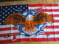 Eagle on U.S.A. Flag