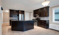 Kitchen (Cabinets & Countertops)