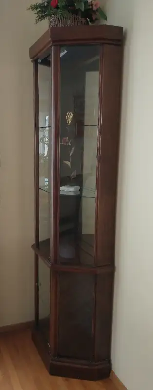 Beautiful Curio Cabinet missing its upper door in Hutches & Display Cabinets in Calgary - Image 3