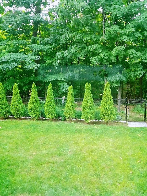 Bachelor Studio in East of Oakville 2