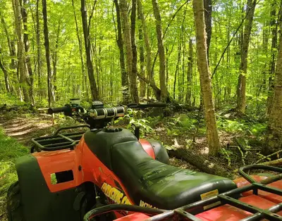 2001 Arctic Cat 500 4x4 Automatic Looking to trade my reliable workhorse for a different off-road ex...