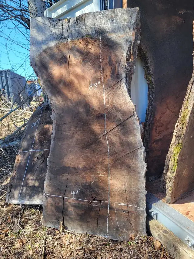 Various Live Edge Wooden Slabs in Other in Ottawa - Image 9