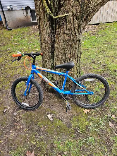 CCM 20 Inch Bike, View more
