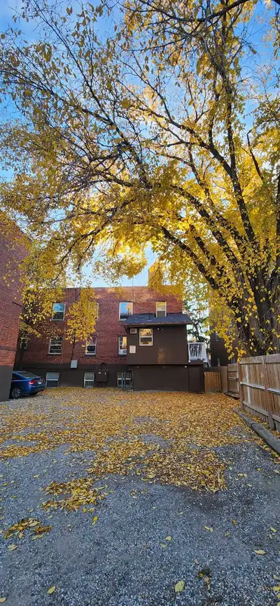 looking for friendship, View more