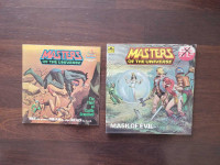 2 vintage Masters of the Universe books