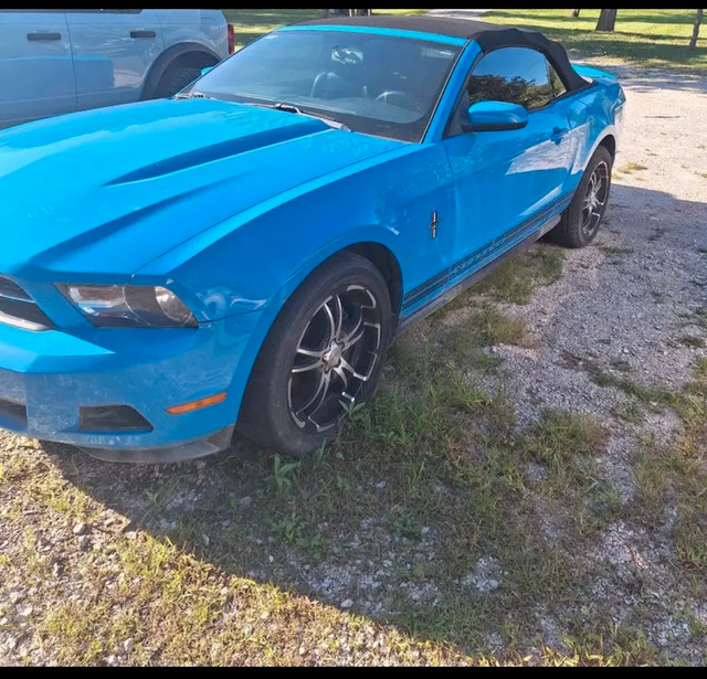 2010 Ford Mustang in Cars & Trucks in Windsor Region - Image 2