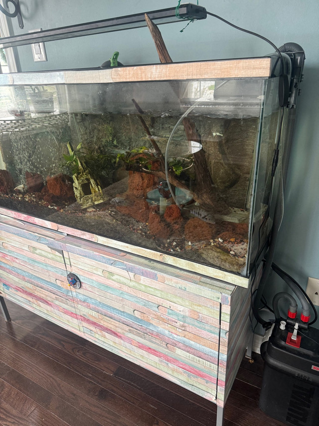 65 gallon aquarium  in Fish for Rehoming in Markham / York Region - Image 3