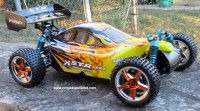 New RC Buggy /Car Brushless Electric, LIPO 1/10 Scale 4WD