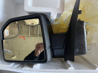 OEM Mirror, Drivers Side, 2015 to 2019 F150.