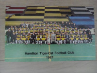 1987-CFL-HAMILTON TIGER-CATS Official Football Team Photo.