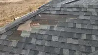 Need roofing repair today? 100$