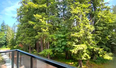 100% New ! Peaceful 1BR with Tree Views South Surrey