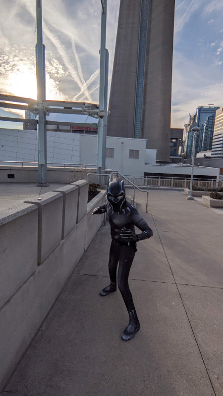 Black panther cosplay for sale! in Costumes in Mississauga / Peel Region - Image 2