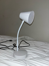 Lamp (study light) 
