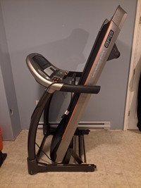 ARG 3.1 AT treadmill