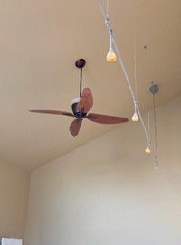 Large Ceiling Fan and Light