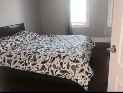 room for rent