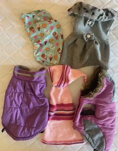 Vêtements propres et en bon état. Parfaits pour garder un petit chien au chaud lors des journées plu...