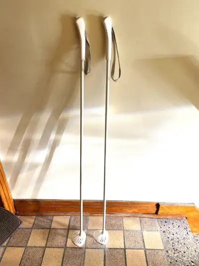 Cross Country Ski Poles 110cm Batons Ski de Fond 43". XC Ski, View more