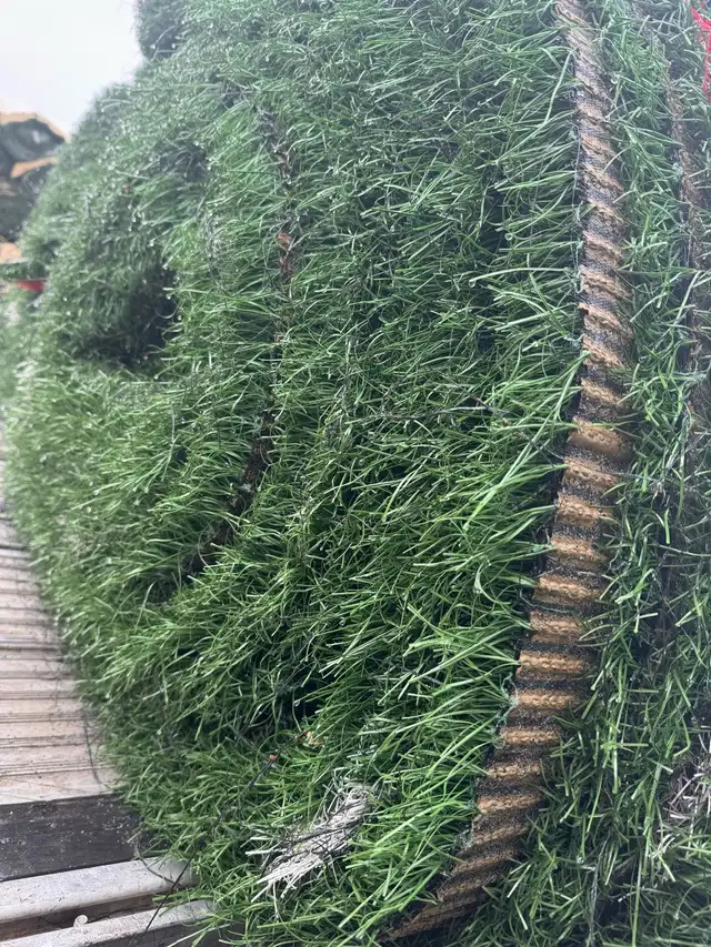 ♻️Recycled Turf | Like New | 7ft x 53ft | $190 Per Roll in Other in Barrie - Image 5