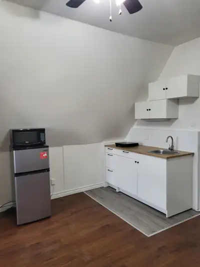 BACHELOR APARTMENT WITH WALKOUT BALCONY & PRIVATE ENTRY