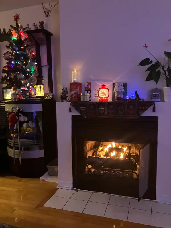 Insert Set for Fireplace Gel Fuel Concrete Fire Log in Fireplace & Firewood in City of Montréal - Image 4