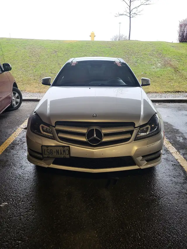 Windshield Replacement Mobile 529836171079208965