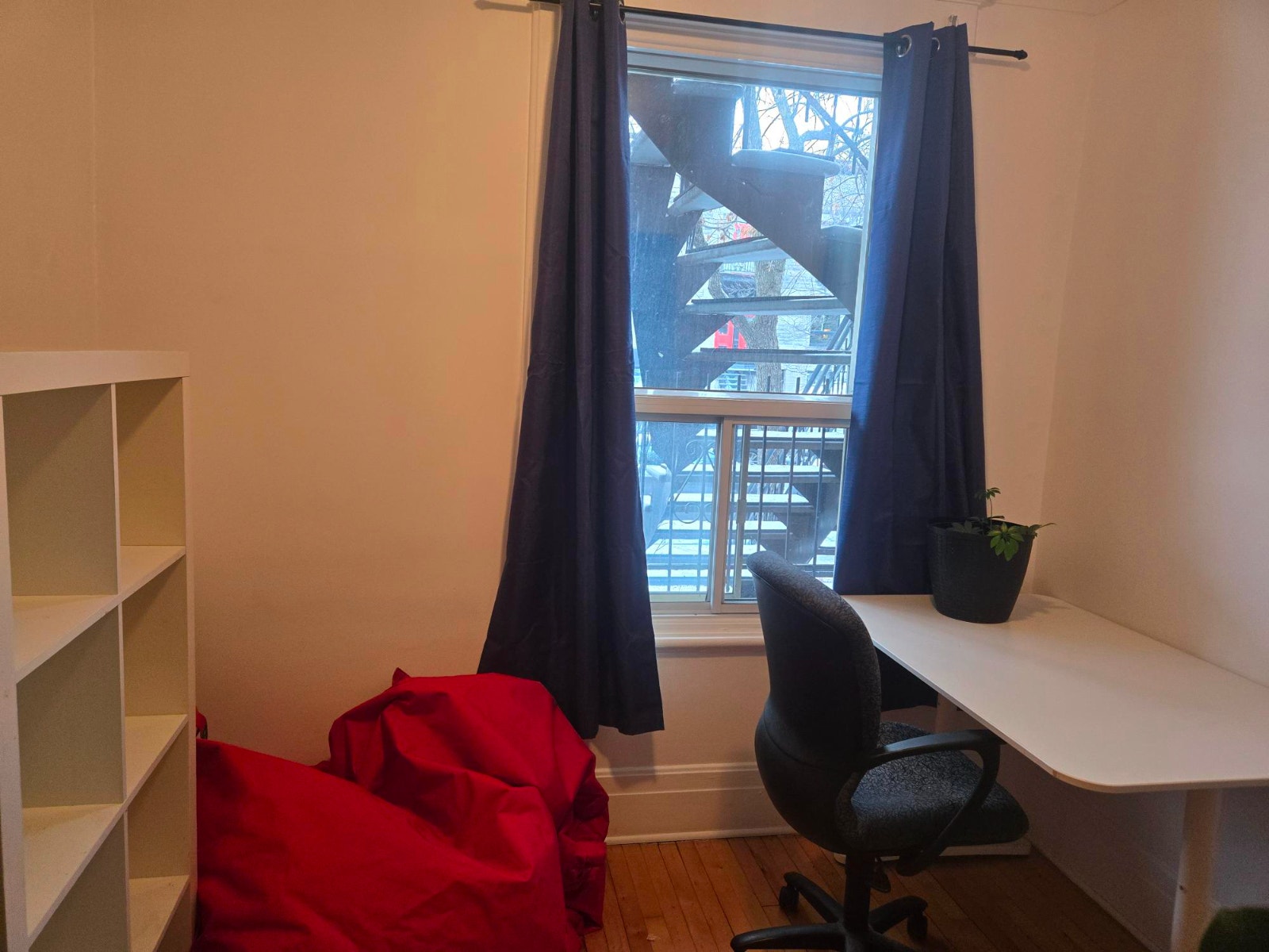 Coloc recherché\ Roommate wanted — photo 3