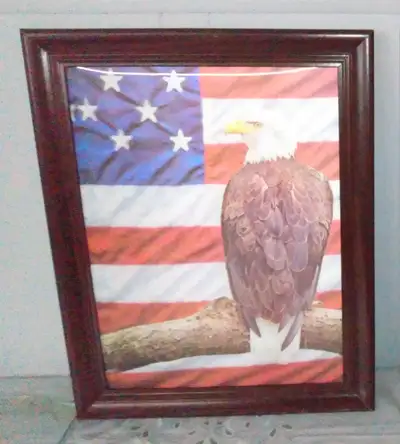 pick up gough avenue and danforth avenue New 3D 4D american usa eagle prints usa flag with eagle lef...