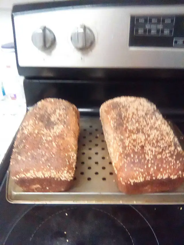 Sourdough starter, perfect for baking delicious homemade bread. 63005666105219123
