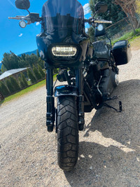 2019 Harley Davidson Fatbob