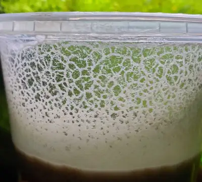 Live fish food, View more