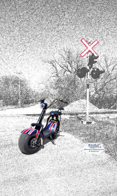 New shipment in stock with more accessories and options available. Fat Tire Scooters/Ebike for sale!...