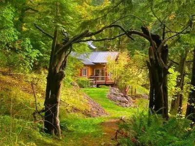 Mature Working couple looking for long term rental within 30-40 mins of Bracebridge. Good job. In th...
