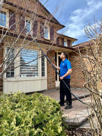 Windows and gutter cleaning 