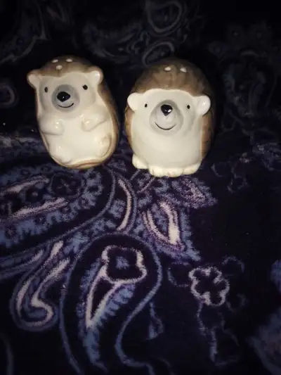 Hedgehog Salt and Pepper Shakers, View more