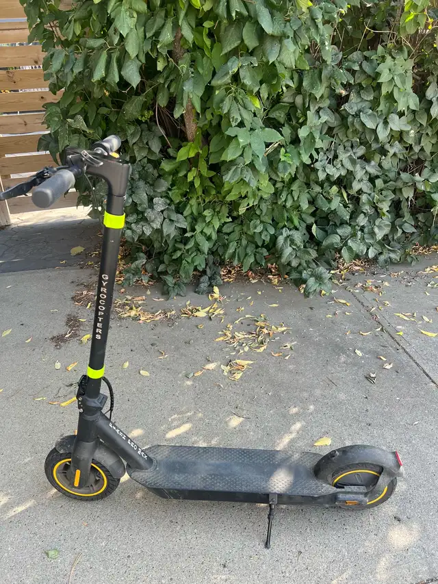 Electric Scooter Adult 500 watts Gyrocopter in Scooters & Pocket Bikes in Edmonton - Image 2