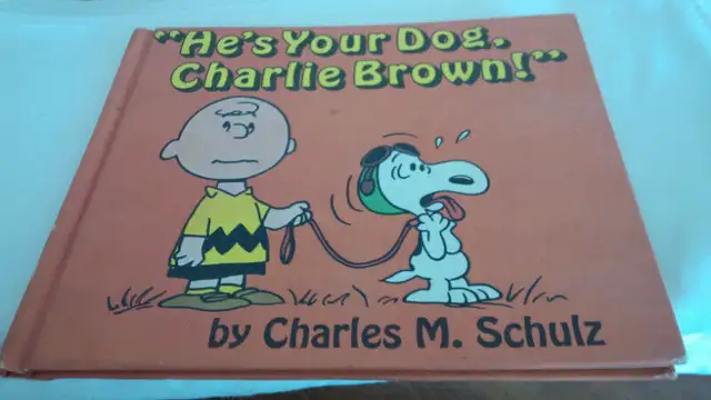 5 Charlie Brown Books, Pull Toy Snoopy & Woodstock in Other in Kitchener / Waterloo - Image 5