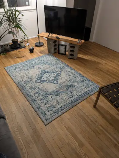 good condition pretty rug. moving to manitoba so getting rid of stuff. also free couch and giant pla...