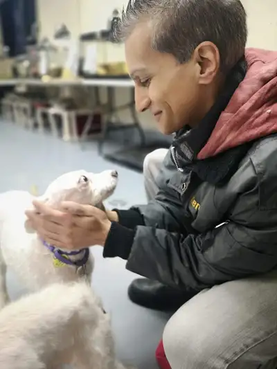 I offer dog walking and can also spend time with your dog (at your place) as a sitter for several ho...