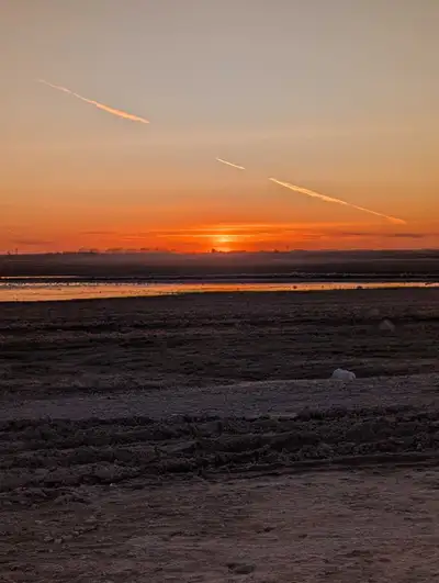 Full-time Dairy milker & Calf Feeder., View more