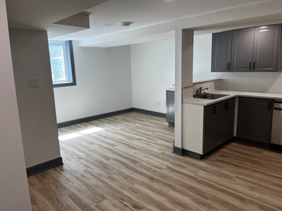 1 bedroom 1 bath newly renovated basement apartment available immediately in Crystal Beach area, ver...