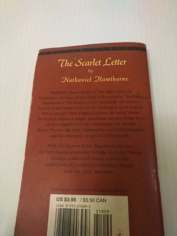 book: the Scarlet Letter in Fiction in Cambridge - Image 2